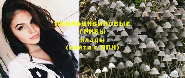 круглые Магас