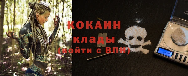 сатива Магадан
