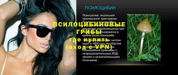 сатива Магадан