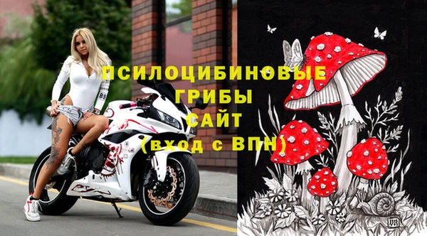 прущие грибы Абаза