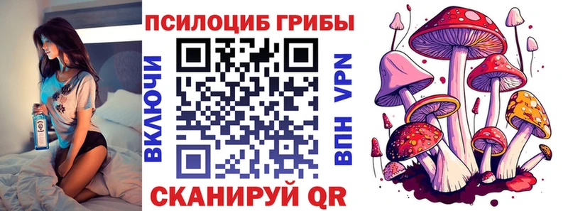 Псилоцибиновые грибы Psilocybe  купить наркотик  Яранск 